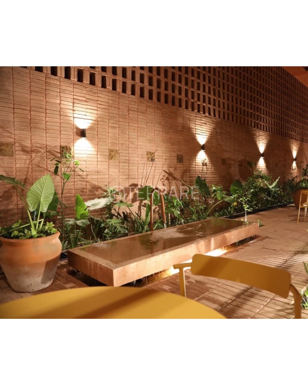 Construcción Terrare 6